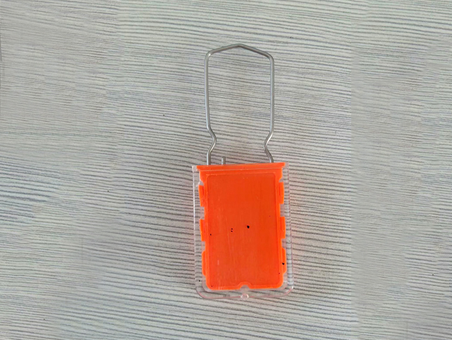 Padlock--YPL21